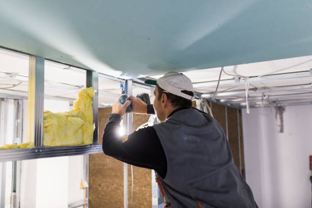 Best Residential Insulation in Leadville, CO
