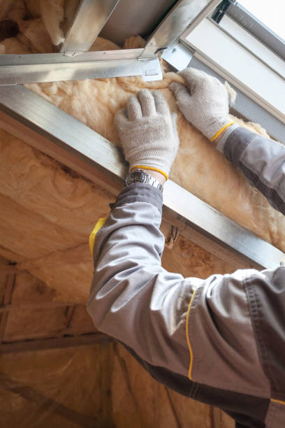 Professional Insulation Contractor in CO