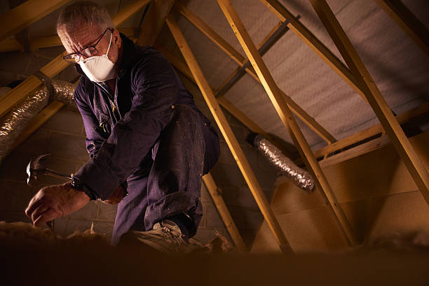 Best Insulation Maintenance and Repair in Leadville, CO