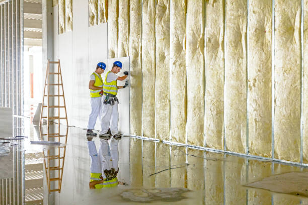 Best Commercial Insulation in Leadville, CO
